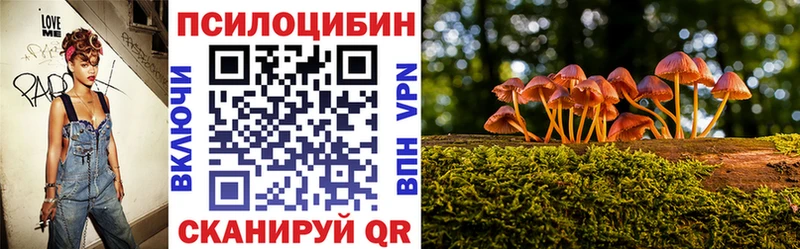 наркота  Калининград  Псилоцибиновые грибы мухоморы 